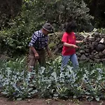 Casa Macchia 度假居 *