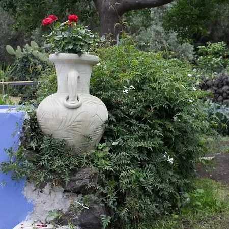 Casa Macchia בית נופש ג'יארה
