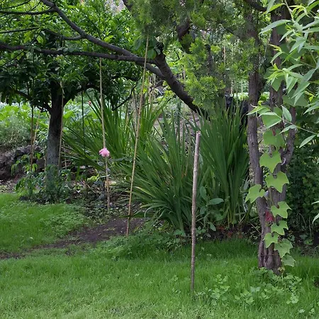 Casa Macchia בית נופש ג'יארה